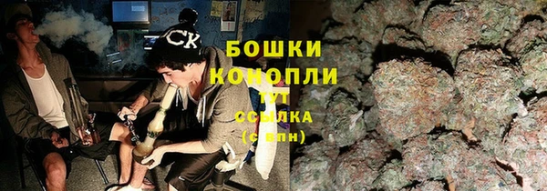 шишки Белоозёрский