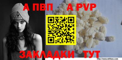 стафф Камышлов