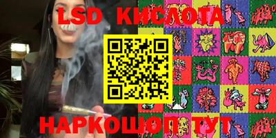 стафф Камышлов