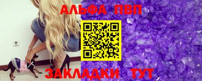 стафф Камышлов